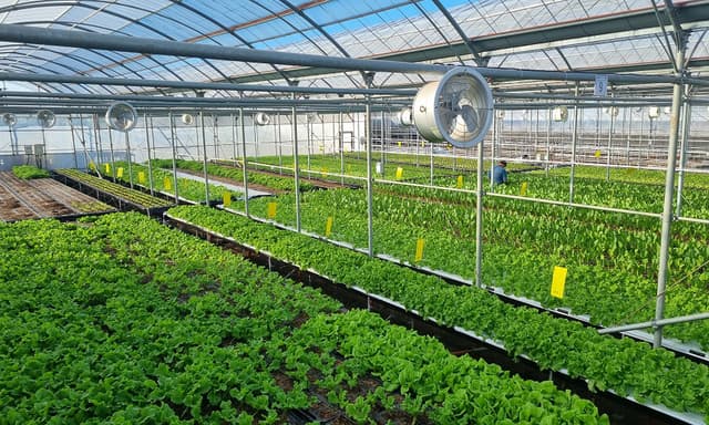 작물 재배 현황