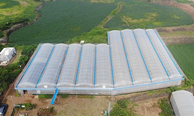 실증 농장 전경