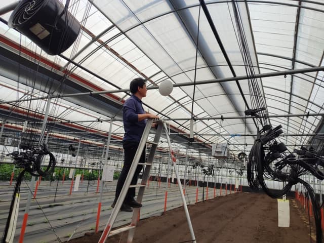 KT 협업 인터넷 설치